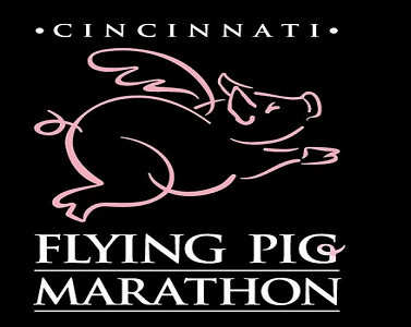 flying pig logo clothing brand