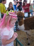 Alpaca