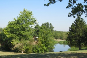 England/Idlewild Park & Dog Park