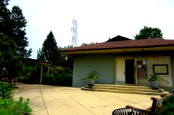 Mt Airy Forest Arboretum