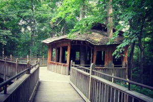 Mt Airy Forest Treehouse