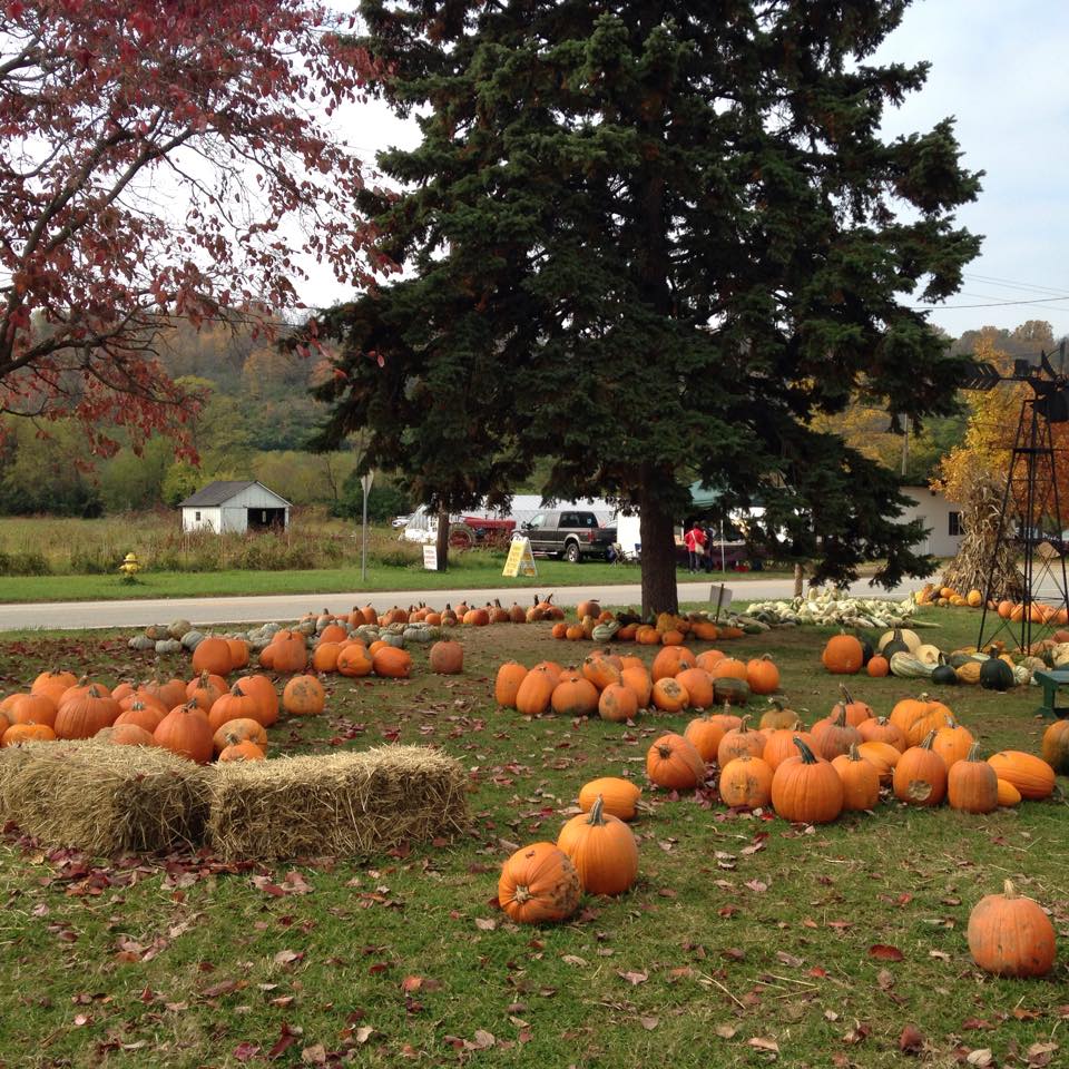 Greater Cincinnati Fall Festivals and Farm Fun