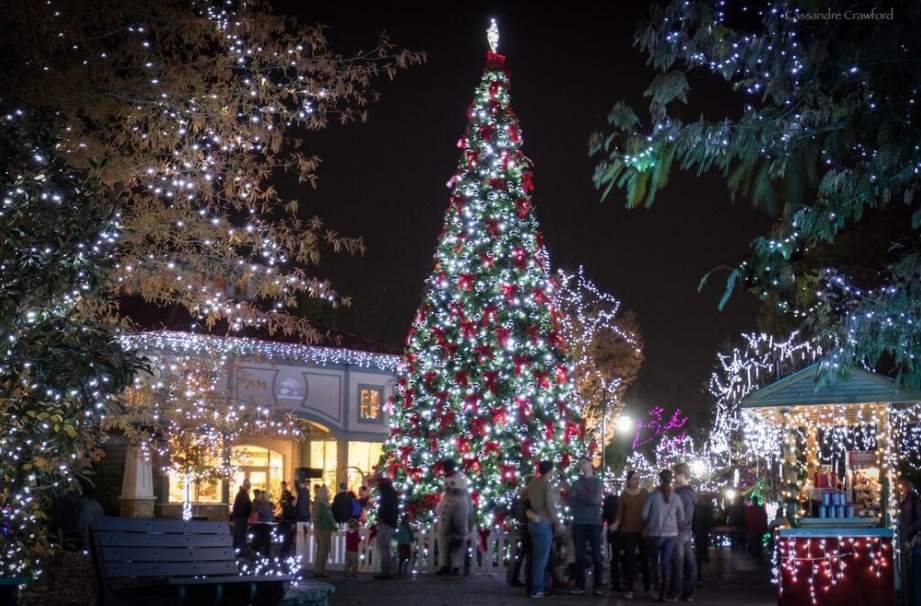 PNC Festival of Lights Returns to Cincinnati Zoo - Family Friendly ...